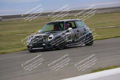media/Mar-30-2025-Speed Ventures (Sun) [[39e6b1441d]]/Purple/Front Straight/